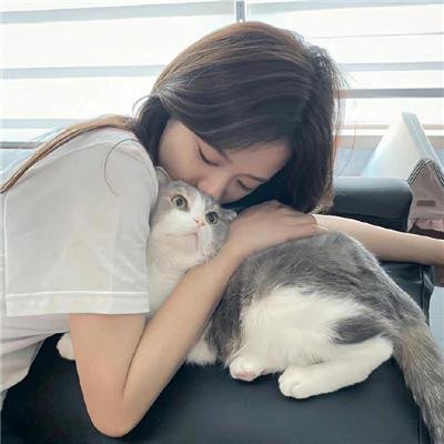 鹊巢鸠占