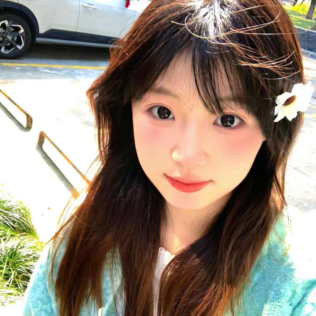 飞燕金枪